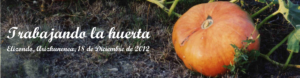 Jornada: “Trabajando la huerta”. Elizondo,18 de Diciembre de 2012. Documentación
