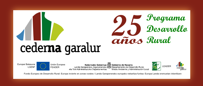 25_anios_pdr