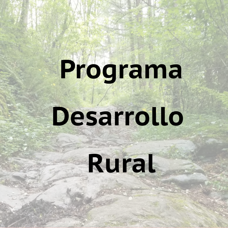 programa leader