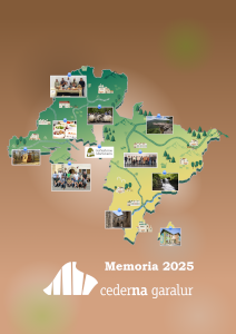 Memoria 2025