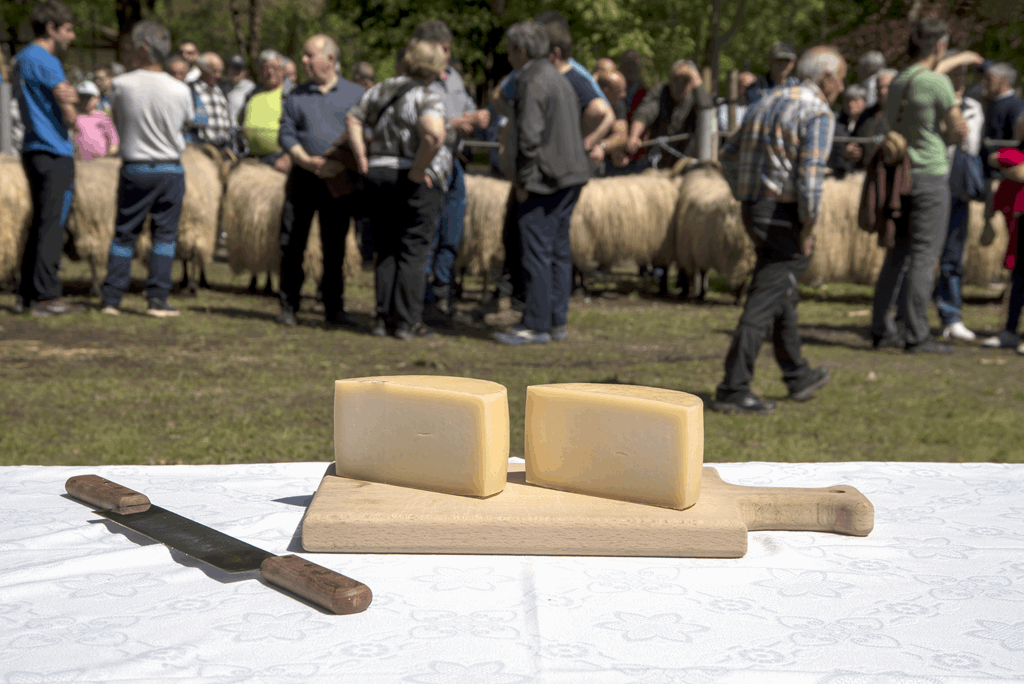 paraweb-queso_1024x684