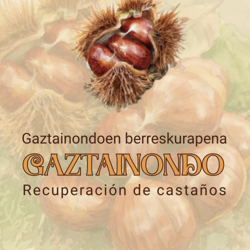gaztainondo-logo
